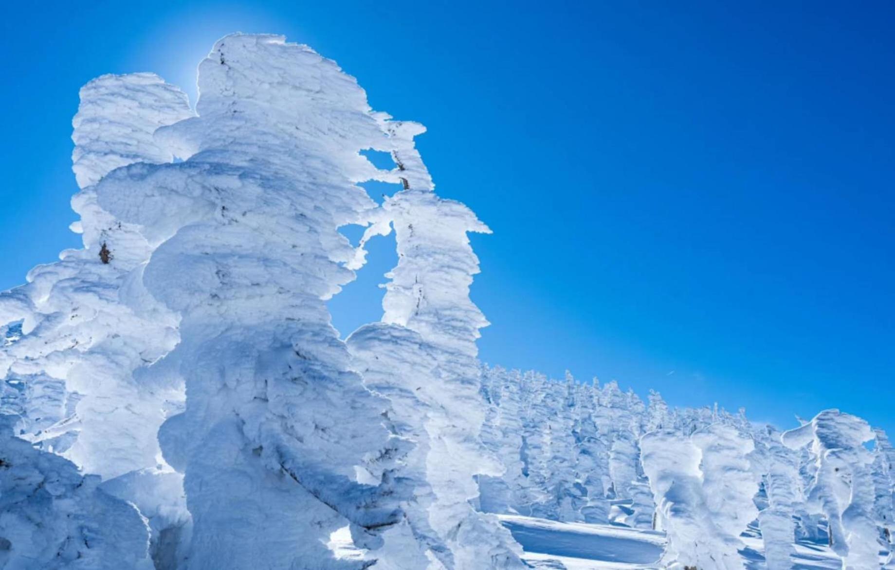 Snowfall Meteor 飛雪流星 Kaminoyama Extérieur photo